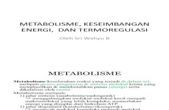 Metabolisme Keseimbangan Energi, Dan Termoregulasi