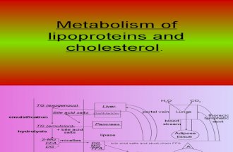 Metabolism of lipоproteins and cholesterol