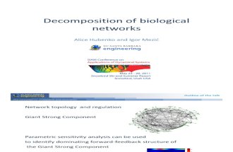 A. Hubenko: Decomposition of Biological Networks
