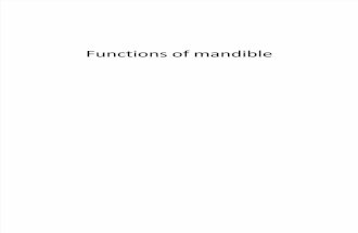 Functions of mandible