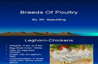 Breeds Of Poultry jr