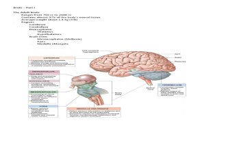 Brain Parts I and II Handouts Sp11