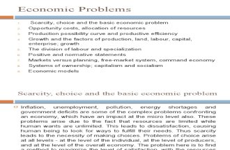 Economic Problem s