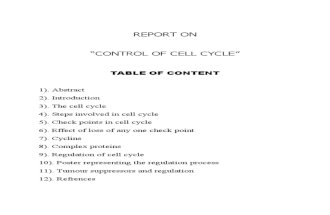 cel cycle regulation