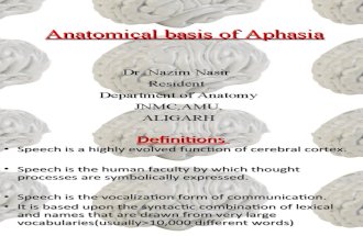 Anatomical basis of Aphasia
