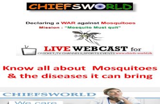 Know All About Mosquitoes