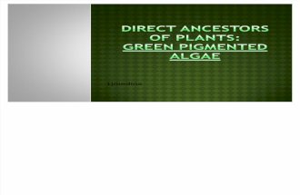 BOT 3: Green Algae