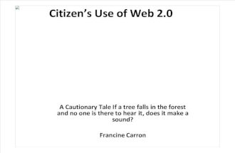New Media & Politics: Citizens use of web 2.0
