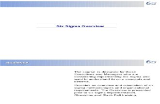 Six Sigma Overview ER
