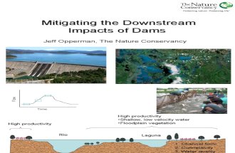 Mitigating the Downstream Impacts of Dams