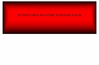 Fosforilacion Oxidativa Completa