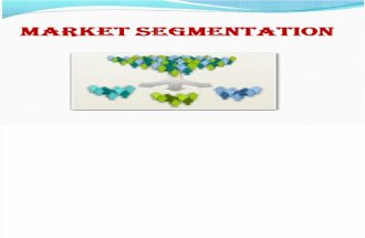 Market Segmentation (DS)