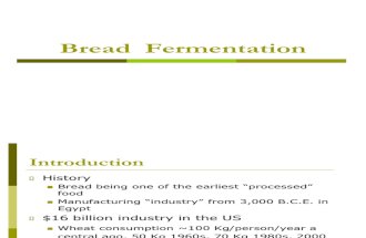 Bread Fermentation