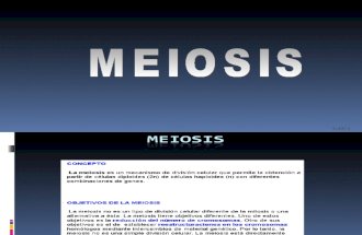 Meiosis-2010-I