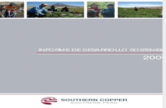 Informe de Desarrollo Sostenible 2006