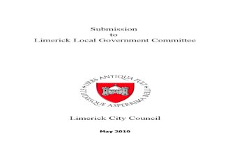 Local Government Structures for Limerick 13 April 10 Version 18