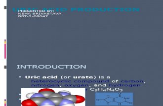Uric Acid Production