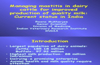 Managing Mastitis in Dairy Cattle for Improved