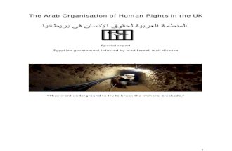 The Arab ion of Human Rights in the Uk Egypt Wall[1]