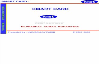 En Smart Card
