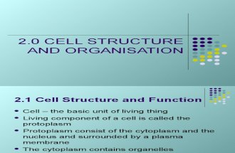 2.1 Cell Structure and Cell ion