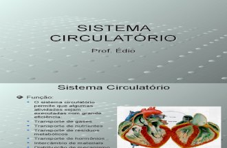 Biologia PPT - Sistema Circulatorio