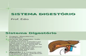 Biologia PPT - Sistema Digestorio