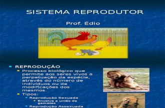 Biologia PPT - Sistema Reprodutor