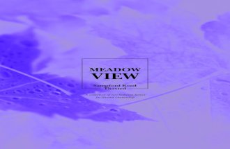 Meadowview brochure