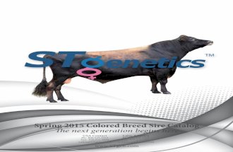 STgenetics Spring 2015 Colored Breed Sire Catalog