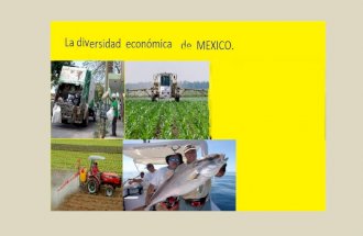 La diversidad económica de México