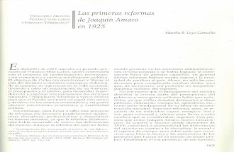 3 21 Las primeras reformas de Joaquín Amaro en 1925.
