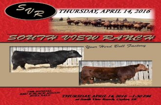 South View Ranch 2016 Angus Sale