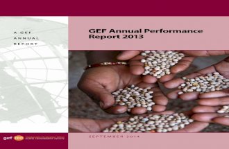 GEF Annual Performance Report 2013