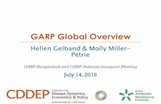 Garp global overview