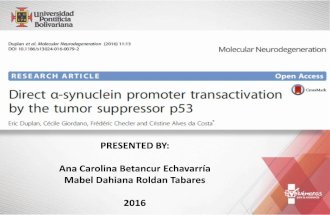 Direct α-synuclein promoter transactivation by the tumor suppressor p53