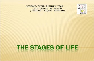 The stages of life