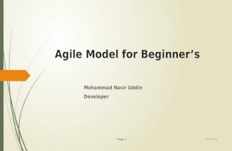 Agile Model for Beginner’s