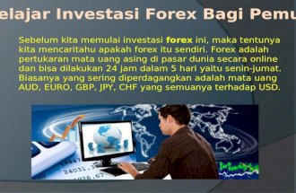 Belajar Investasi Forex Bagi Pemula