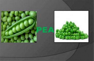 Peas Information by Ted and Angel