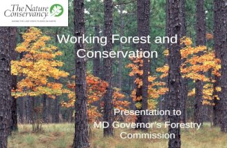 Forest and conservation