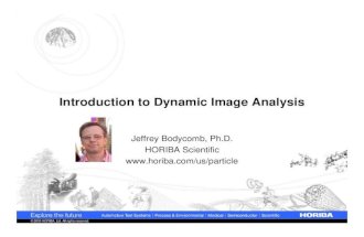 Introduction to Dynamic Image Analysis