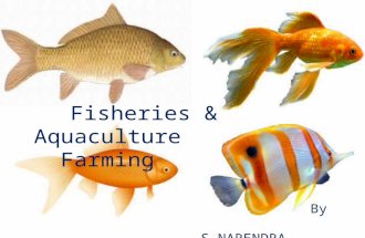 Fisheries&aquaculture