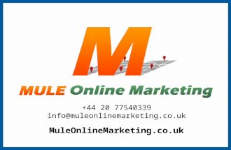 Mule Online Marketing Plumbing Services PowerPoint