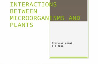 Interactions between microorganisms and plants