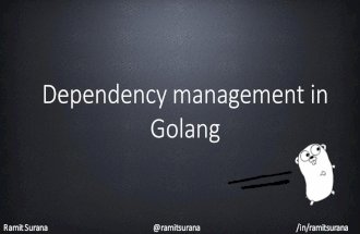 Dependency management in golang