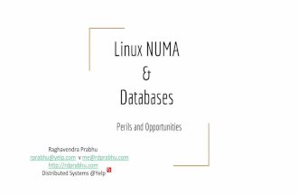 Linux NUMA & Databases: Perils and Opportunities