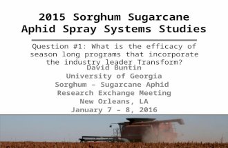 2015 Sorghum Sugarcane Aphid Spray Systems Studies