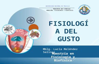 Fisiologagustativa 140904050401-phpapp02