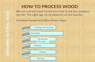 Processing wood